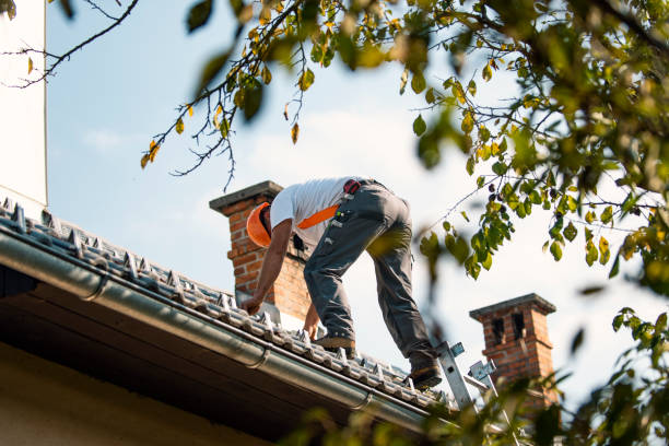 Professional Roofing Contractor in Island City, OR